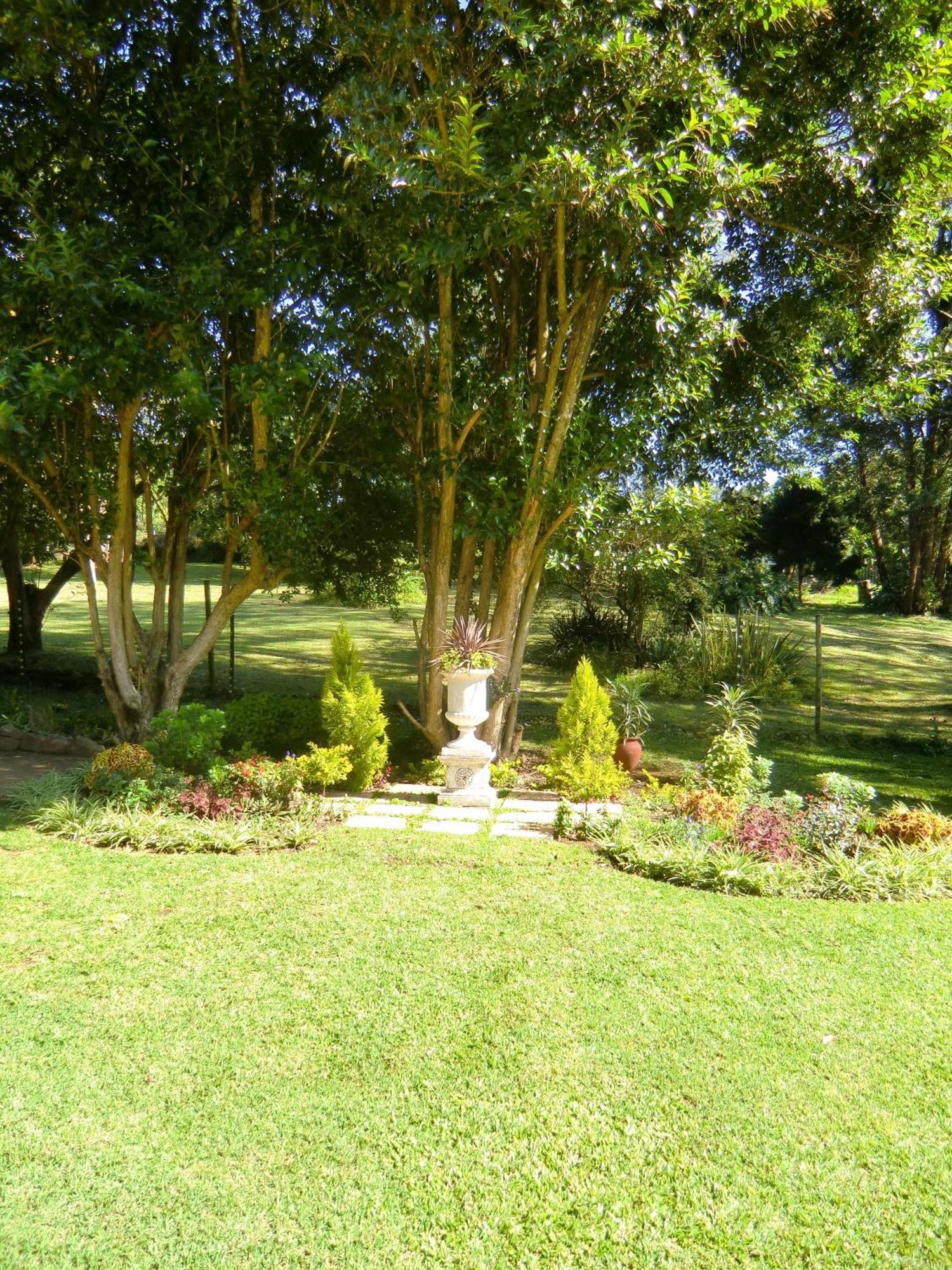 Warrens Guest House Hillcrest Ruang foto
